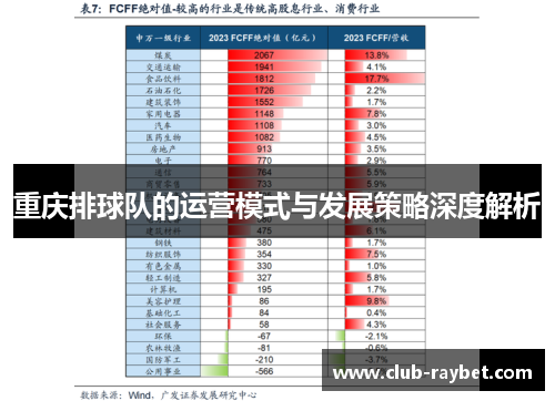 重庆排球队的运营模式与发展策略深度解析